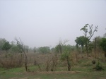 3893RIMG0197.JPG