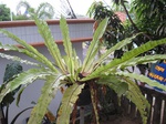 14144IMG_4479.JPG