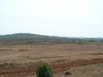 504520042008(87).JPG