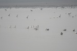 4160IMG_8797.JPG