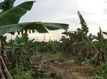 2012-09-26_20-50-09_CIMG1100.JPG