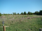 2012-09-15_11-33-51_TX-EL-13-Midlothian-5.JPG