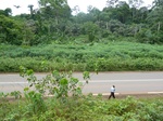 20212P1020066.JPG