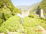 6608gt082-cropland-2.jpg