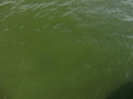 2012-09-21_14-26-22_CIMG3103.JPG