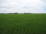 14479IMG_4837.JPG