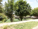 5584100_0987.JPG