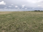 2017-05-27_13-15-58_225E00C9-B85D-465A-9D06-EA0FFE2A0341.jpg