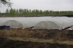 2017-05-12_18-04-53_2017-05-06 21.28.07.jpg