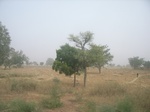 9135RIMG0216.JPG