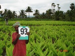 6412093b-irrigated-supplemental-openwell-sugarcane-dominant-turmeric-maidaroot.jpg