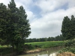 2017-09-12_12-57-22_E8067F48-8091-4789-94D4-FEE93A62CFEF.jpg
