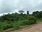 18310P1000146.JPG