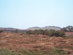 1783426042008(15).JPG