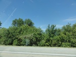 34937DSC01839.JPG