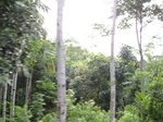 16315IMG_5089.JPG