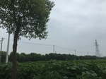 2017-09-10_07-07-17_7C6EA735-5734-421C-A1C4-79392663A45E.jpg