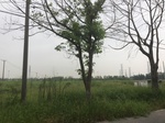 2017-09-10_07-07-20_0D11E159-854A-4DA2-910C-FDDAE6B6F426.jpg