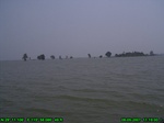 1634R0015266_tag.jpg