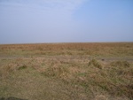 444920071119gps (37).JPG