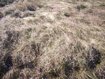 445220071121gps.JPG