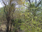 1792927042008(60).JPG