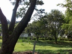 5601100_1016.JPG
