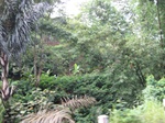 16256IMG_5029.JPG