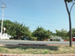 5836100_1498.JPG