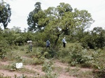 12131GT132_wasteland.JPG