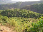 507620042008(147).JPG