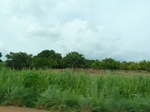 20868P1020732.JPG