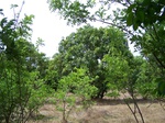 500920042008(27).JPG