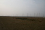 4525IMG_8826.JPG