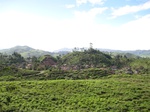 18059IMG_3905.JPG
