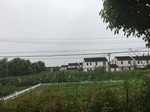 2017-09-10_20-39-01_F9E2ED8B-DA3E-4EAF-A4EB-63B4B219AE33.jpg