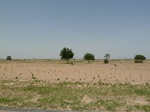 19182P1010028.JPG