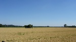 2016-07-25_03-45-01_DSCF1510.JPG