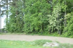 2018-04-14_13-44-14_2017-06-10 07.22.50.jpg