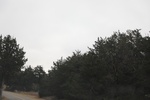 2018-04-30_12-29-06_2017-12-28 12.21.43.jpg