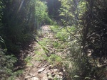 2012-10-05_19-36-53_OK-BR-1.JPG