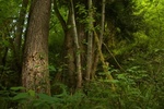 2017-06-13_14-03-15_South.jpg