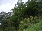 3759RIMG0063.JPG