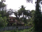 542510052008(35).JPG