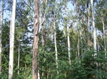 17598100_2535.JPG