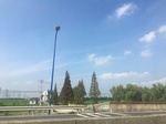 2017-09-12_14-08-52_49BF8A1D-5CC9-4918-B699-9FABB0454E6D.jpg