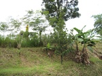 14830IMG_5223.JPG