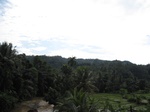 14719IMG_5104.JPG