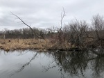 2021-05-04_20-16-24_2021-4-10-13-3-22.jpg