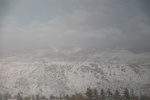 2022-01-19_13-38-48_4E8A1368.JPG